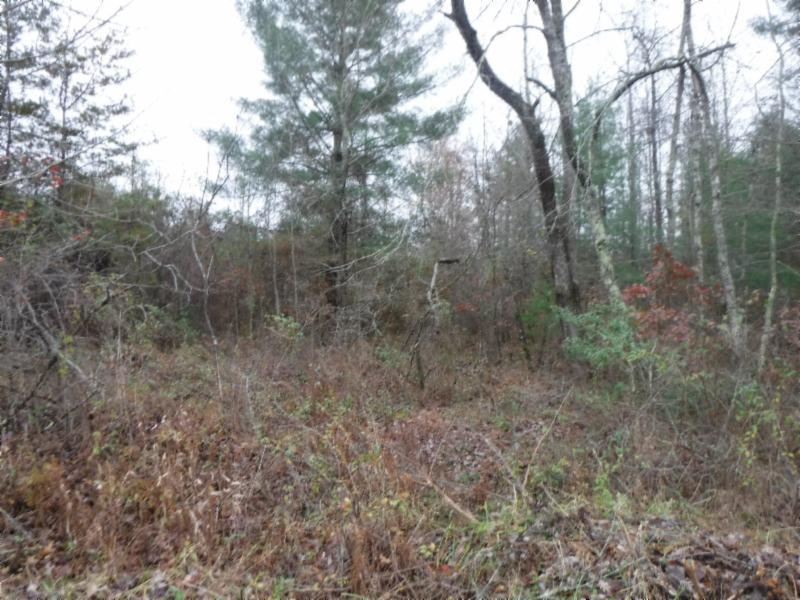85 Twin Bridge Road Deer Lodge, TN 37726 - Photo 24 of 30 Gallery Image 24