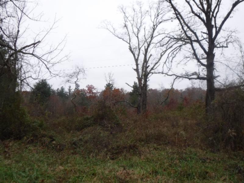 85 Twin Bridge Road Deer Lodge, TN 37726 - Photo 25 of 30 Gallery Image 25