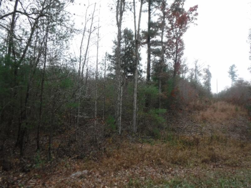 85 Twin Bridge Road Deer Lodge, TN 37726 - Photo 4 of 30 Gallery Image 4