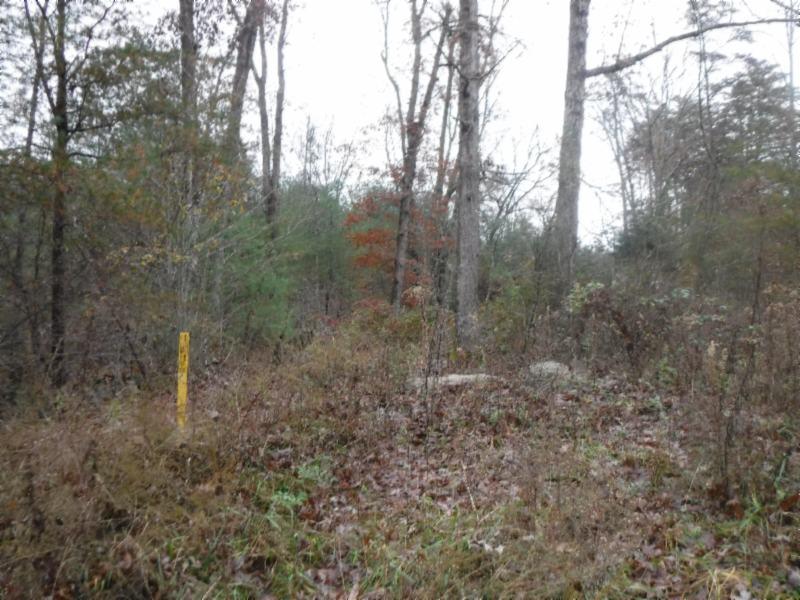 85 Twin Bridge Road Deer Lodge, TN 37726 - Photo 6 of 30 Gallery Image 6