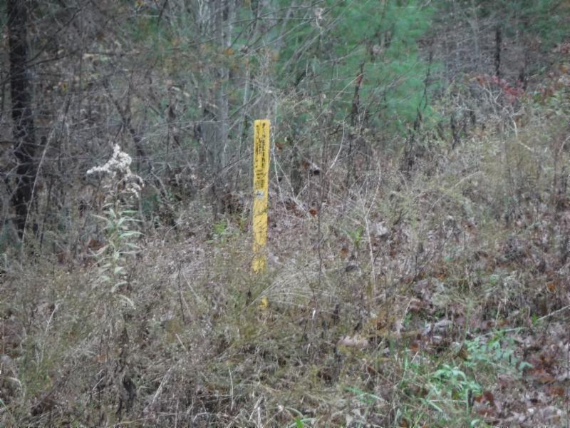 85 Twin Bridge Road Deer Lodge, TN 37726 - Photo 7 of 30 Gallery Image 7