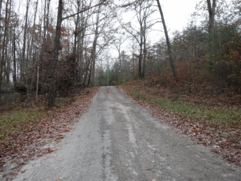85 Twin Bridge Road Deer Lodge, TN 37726 - Photo 9 of 30 Gallery Image 9