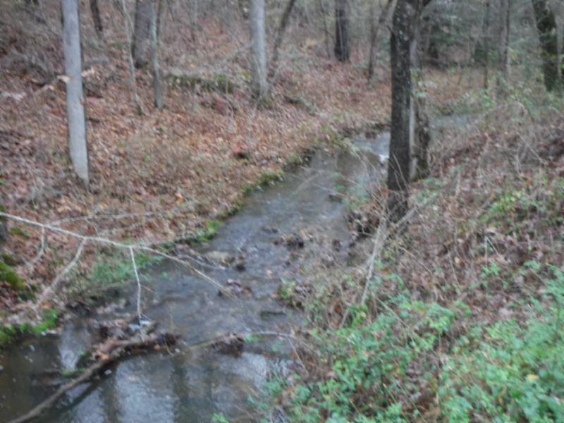 85 Twin Bridge Road Deer Lodge, TN 37726 - Photo 10 of 30 Gallery Image 10