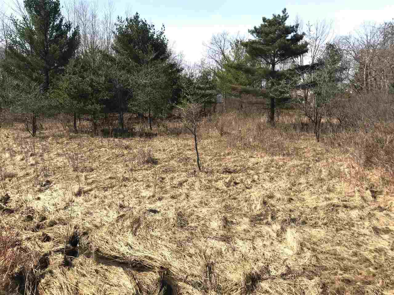 291 Track Iron Trail Gladwin, MI 48624 - Photo 3 of 18