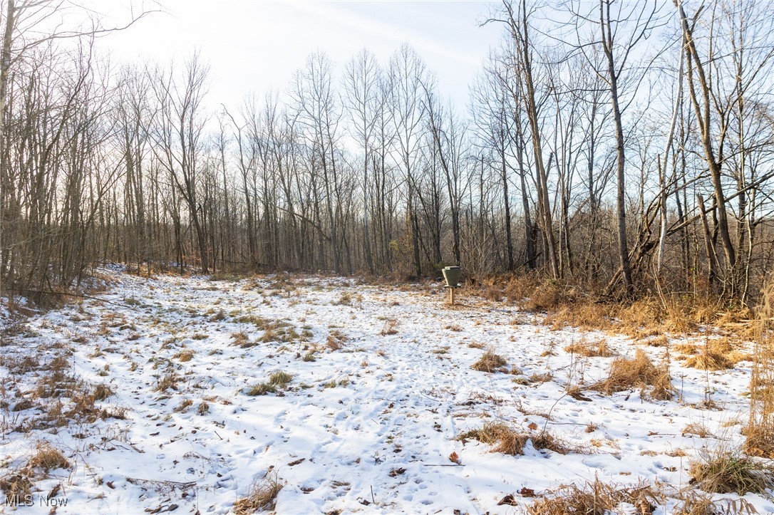 9 County Road New Matamoras, OH 45767 - Photo 18 of 48 Snowy landscape