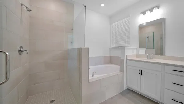 a bathroom with a tub shower vanity and a sink