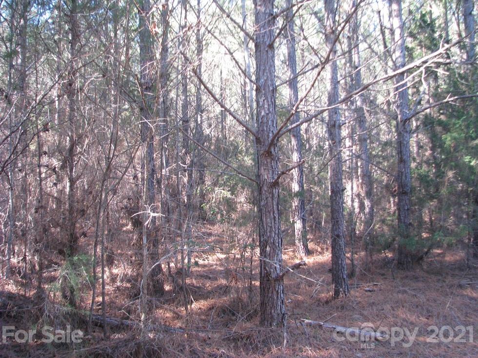 10 Ac Pesch Road Richburg, SC 29729 - Photo 2 of 7 Gallery Image 2