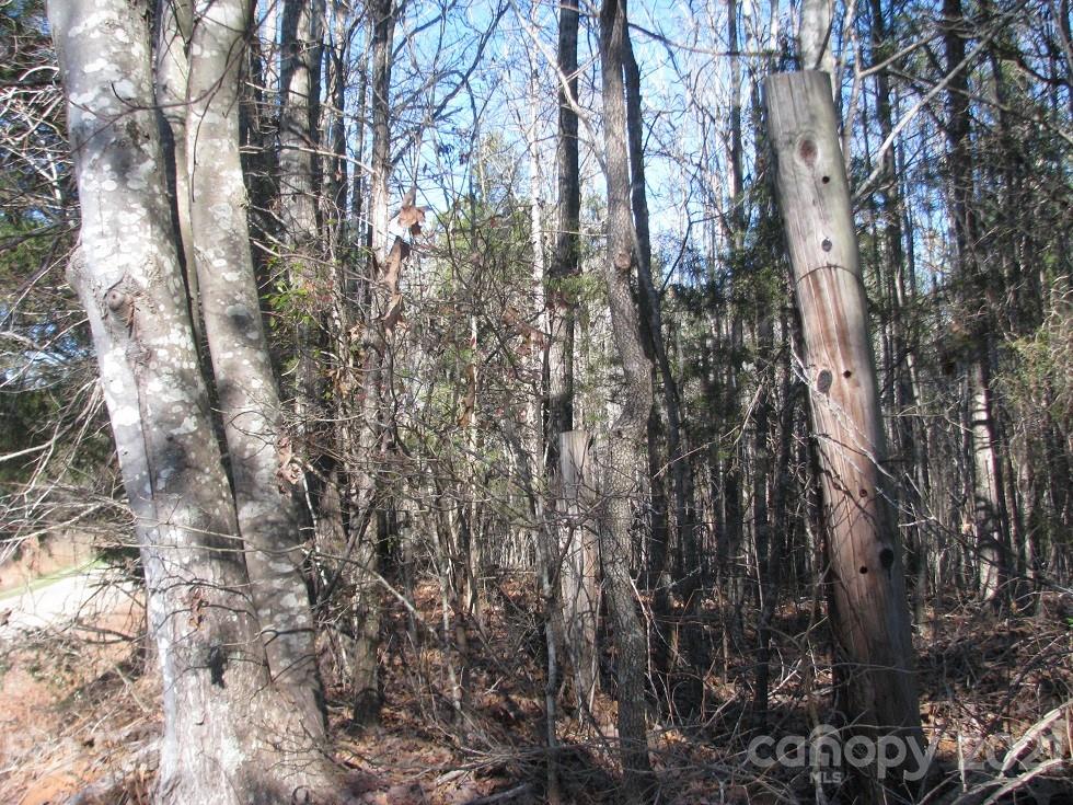 10 Ac Pesch Road Richburg, SC 29729 - Photo 3 of 7 Gallery Image 3