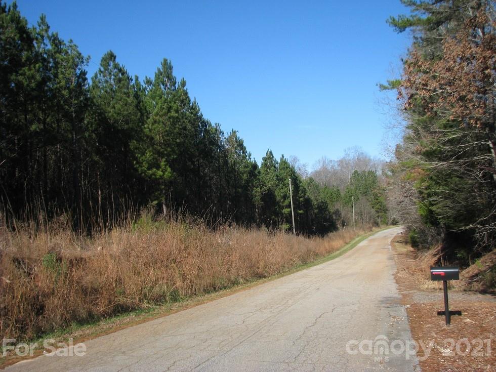 10 Ac Pesch Road Richburg, SC 29729 - Photo 4 of 7 Gallery Image 4
