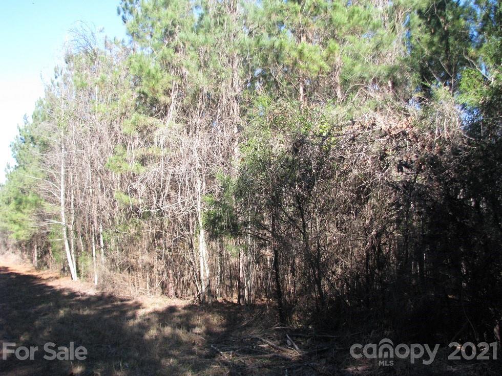 10 Ac Pesch Road Richburg, SC 29729 - Photo 5 of 7 Gallery Image 5