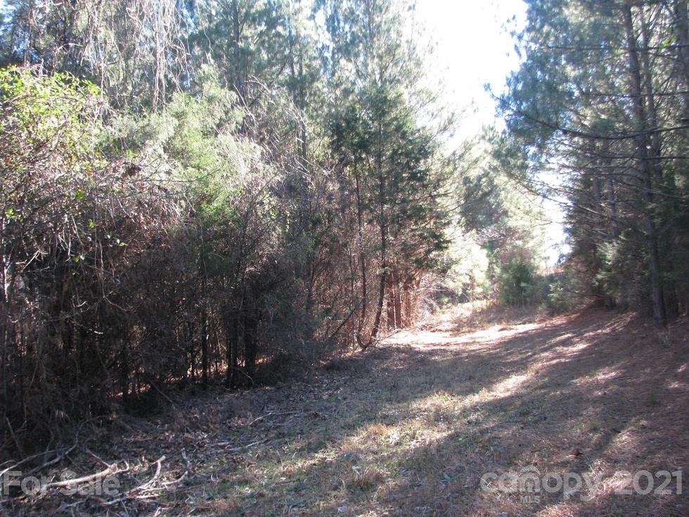 10 Ac Pesch Road Richburg, SC 29729 - Photo 6 of 7 Gallery Image 6
