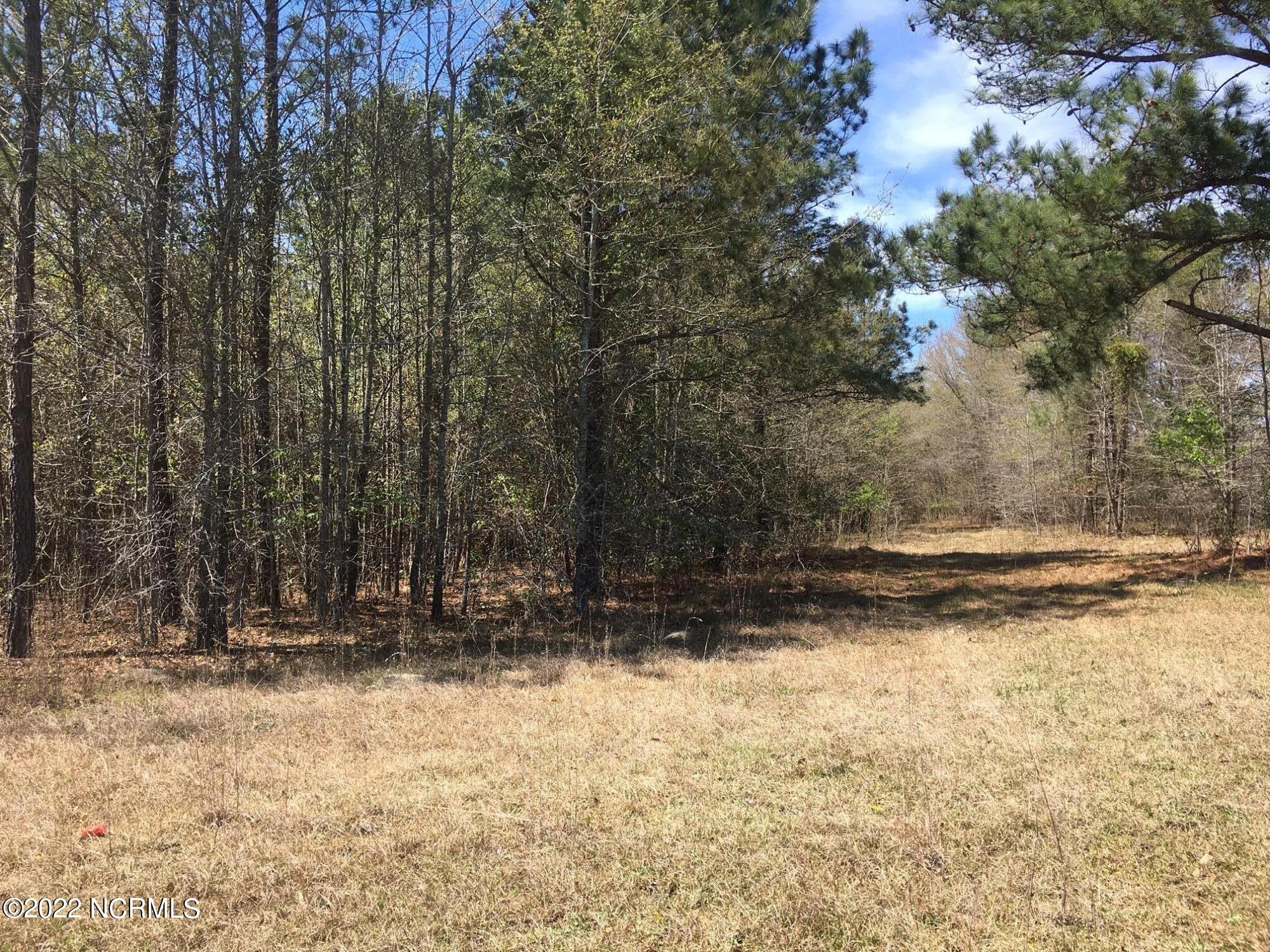 ` Streets Ferry Road Vanceboro, NC 28586 - Photo 1 of 7 IMG_3781