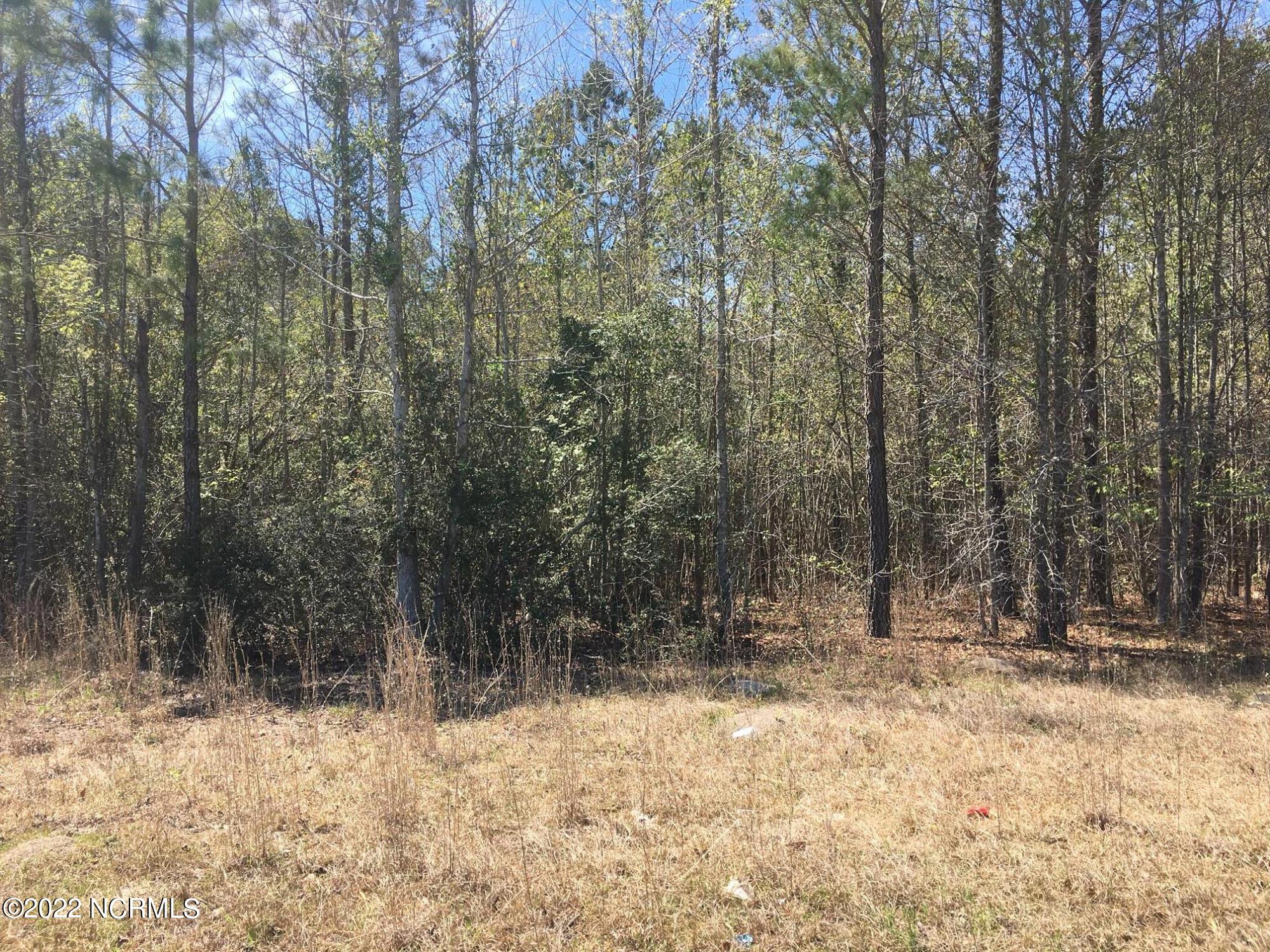 ` Streets Ferry Road Vanceboro, NC 28586 - Photo 2 of 7 IMG_3782