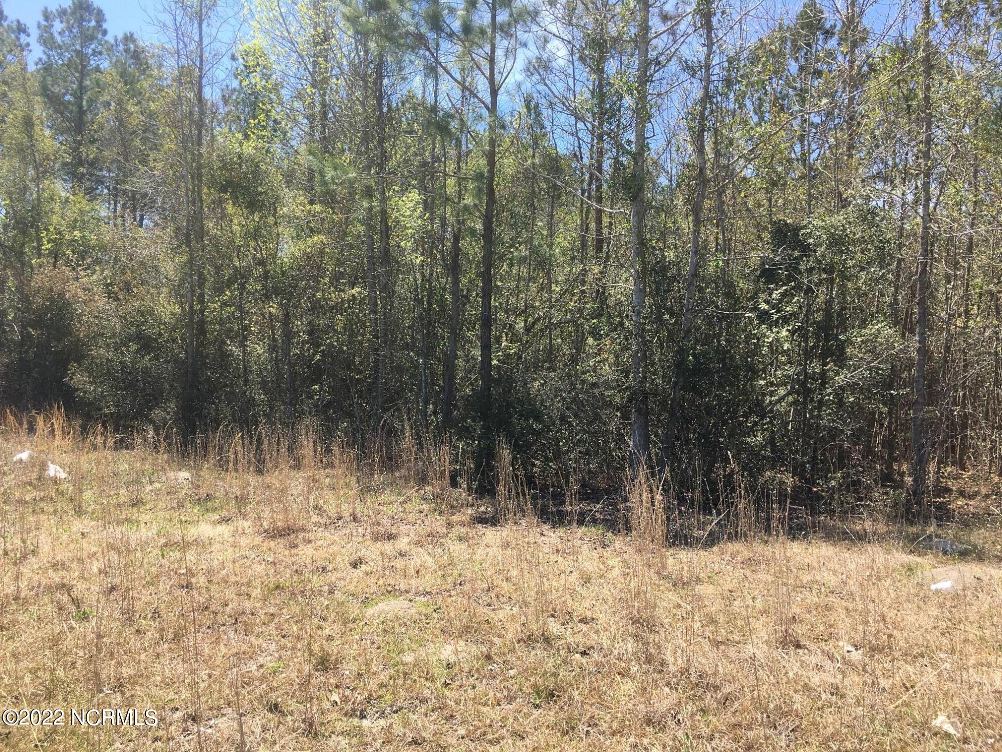 ` Streets Ferry Road Vanceboro, NC 28586 - Photo 3 of 7 IMG_3783
