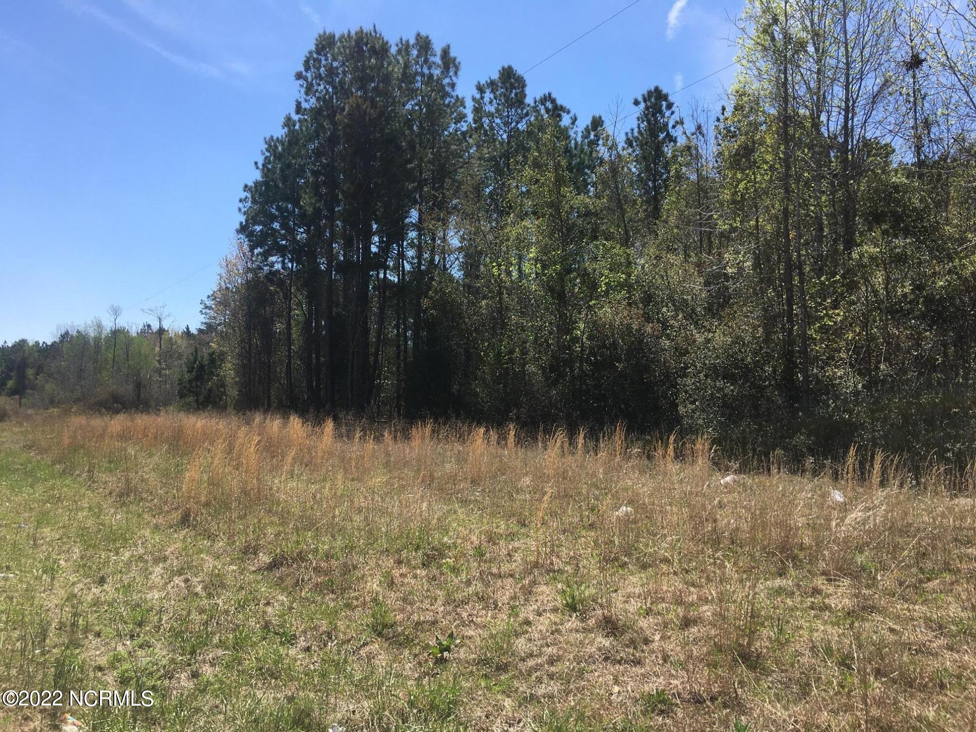 ` Streets Ferry Road Vanceboro, NC 28586 - Photo 4 of 7 IMG_3785