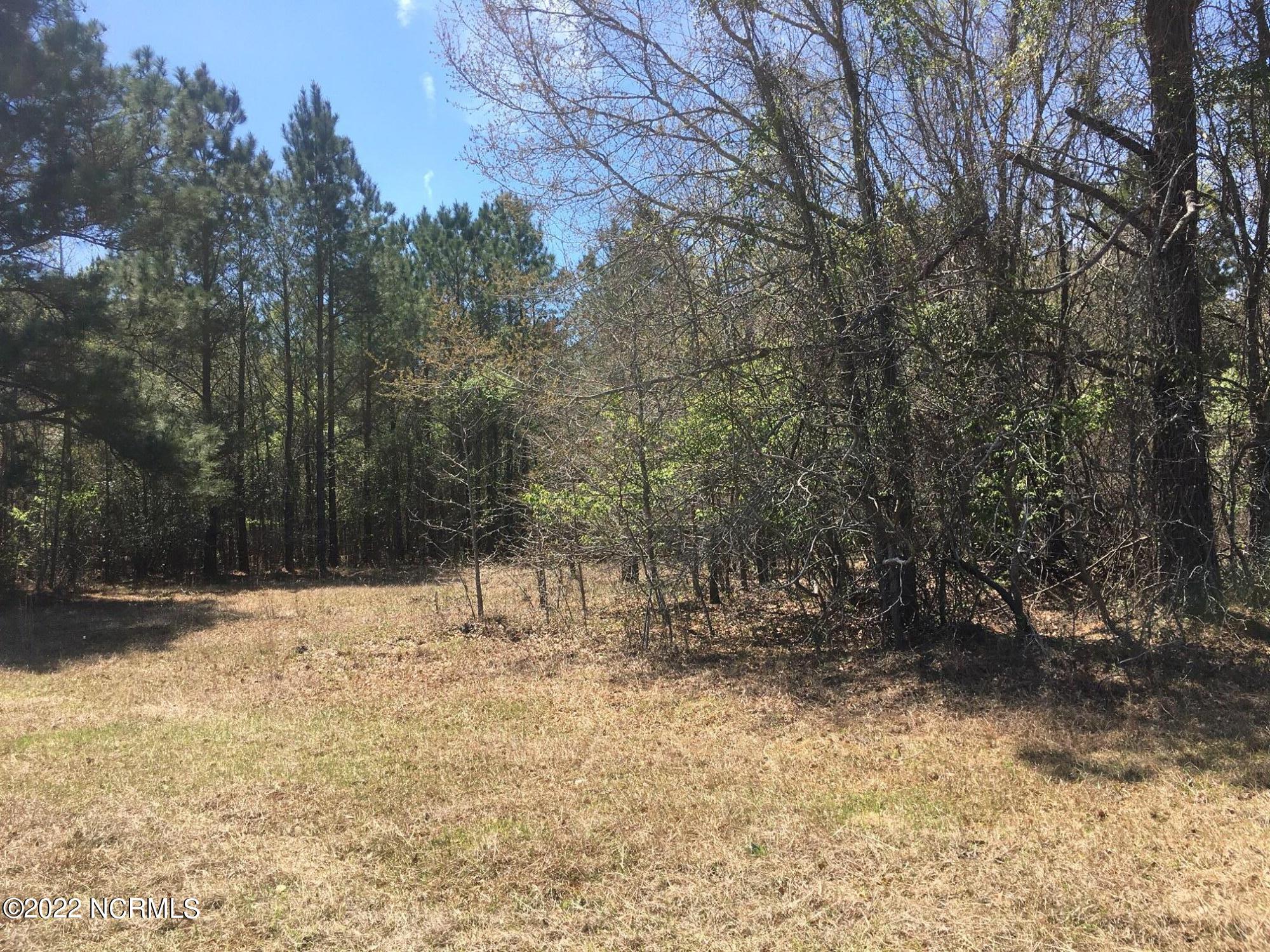 ` Streets Ferry Road Vanceboro, NC 28586 - Photo 5 of 7 IMG_3787