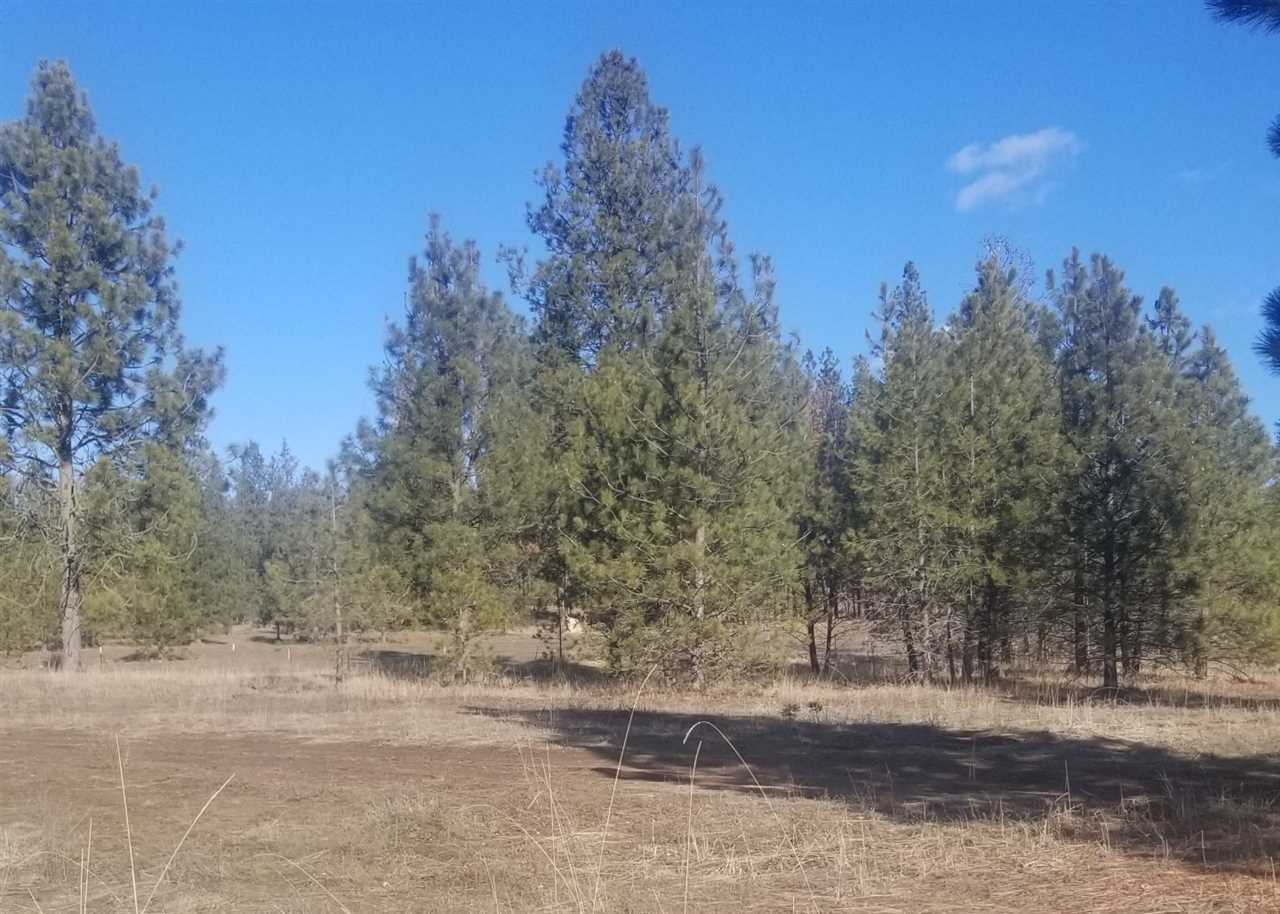 5428 Bishop Road Tumtum, WA 99034 - Photo 1 of 11 Gallery Image 1
