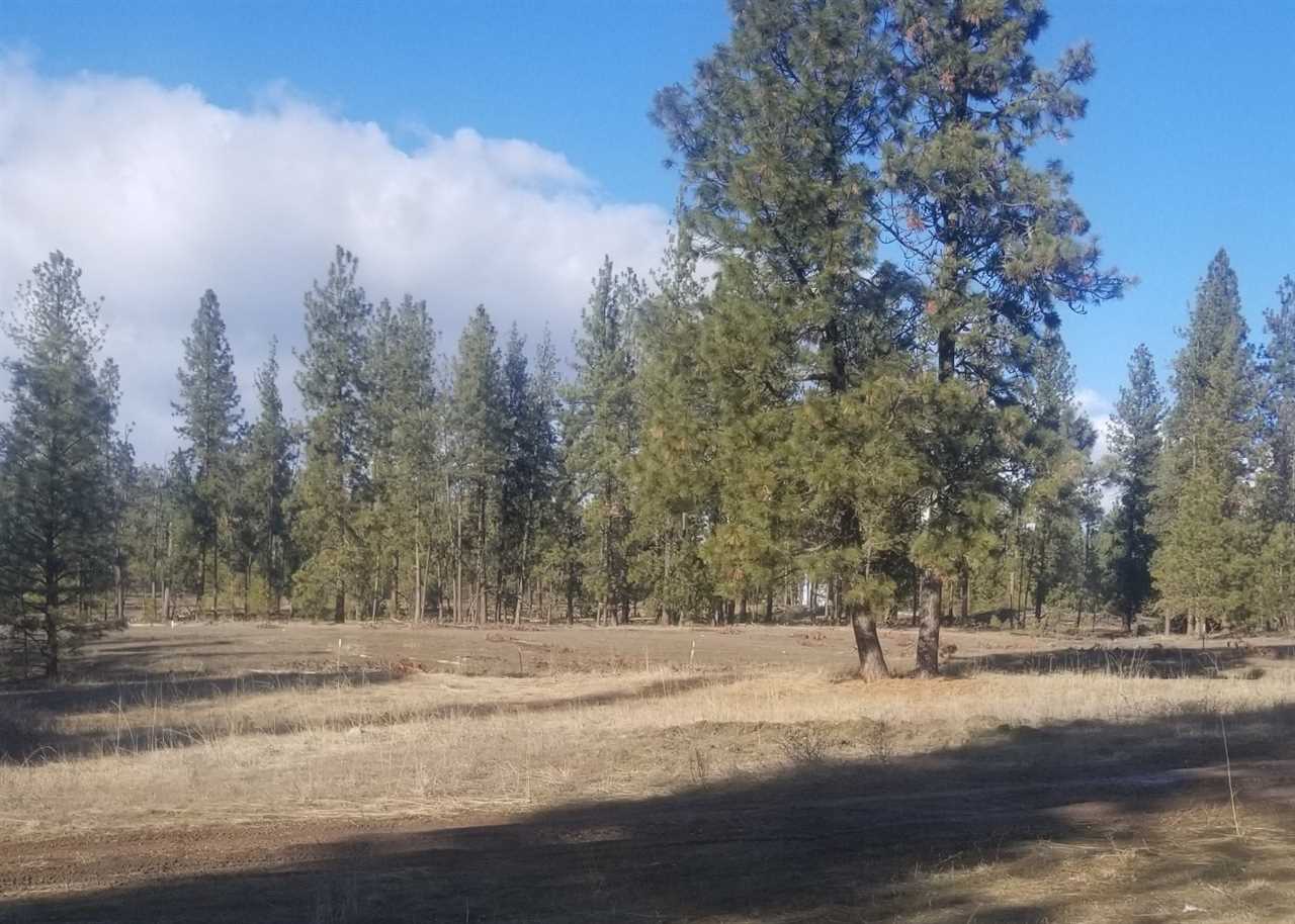 5428 Bishop Road Tumtum, WA 99034 - Photo 2 of 11 Gallery Image 2