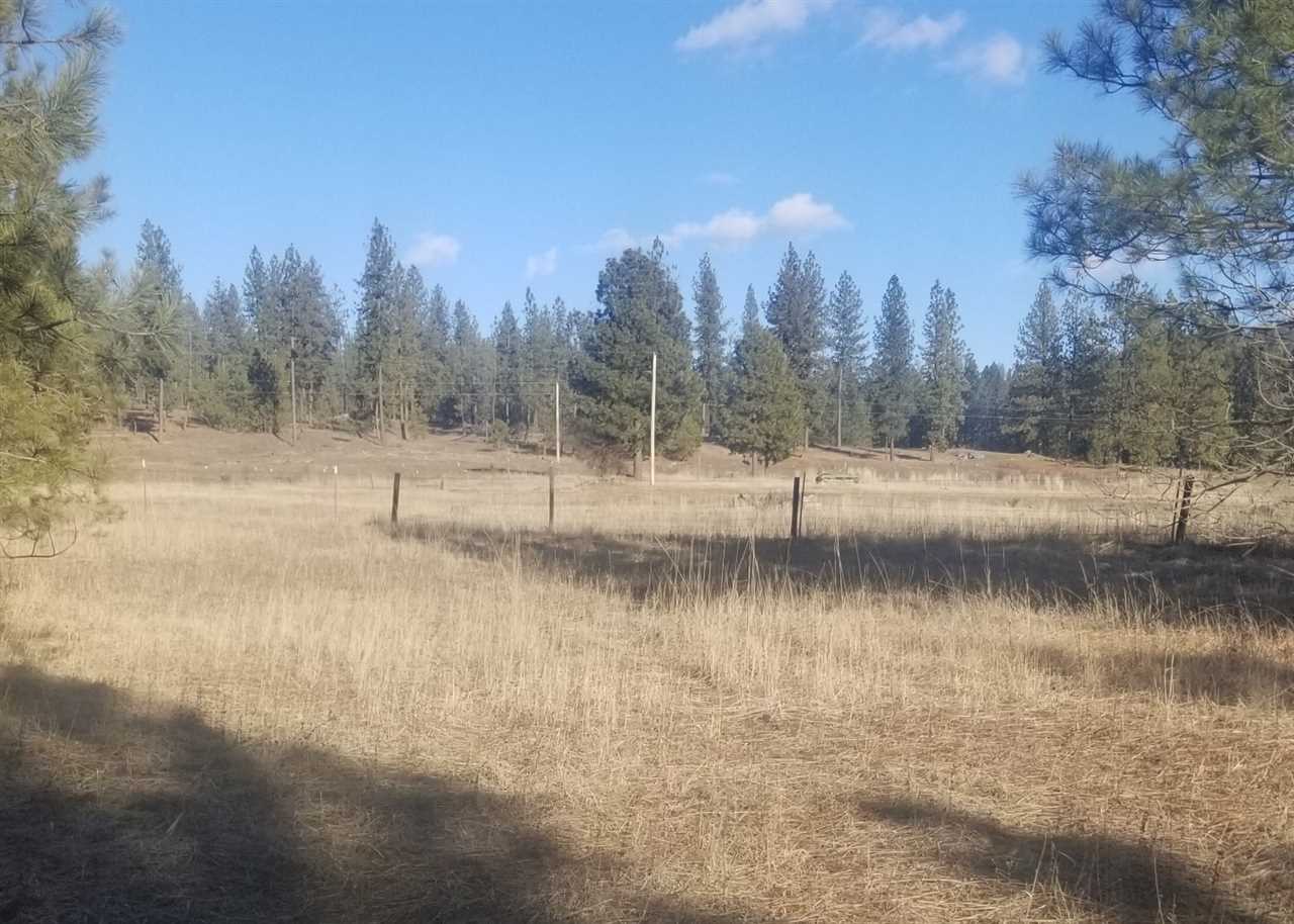 5428 Bishop Road Tumtum, WA 99034 - Photo 11 of 11 Gallery Image 11