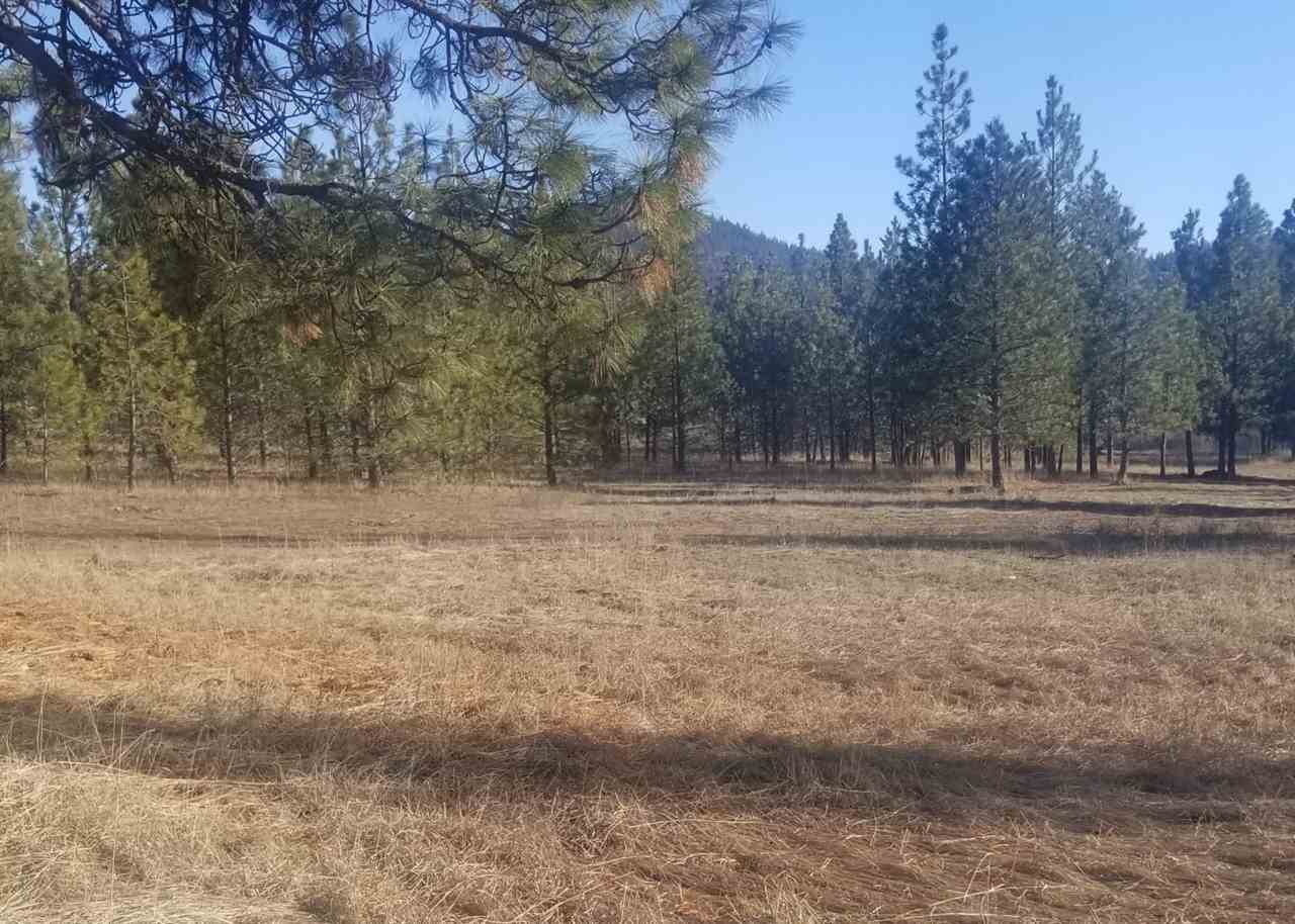 5428 Bishop Road Tumtum, WA 99034 - Photo 3 of 11 Gallery Image 3