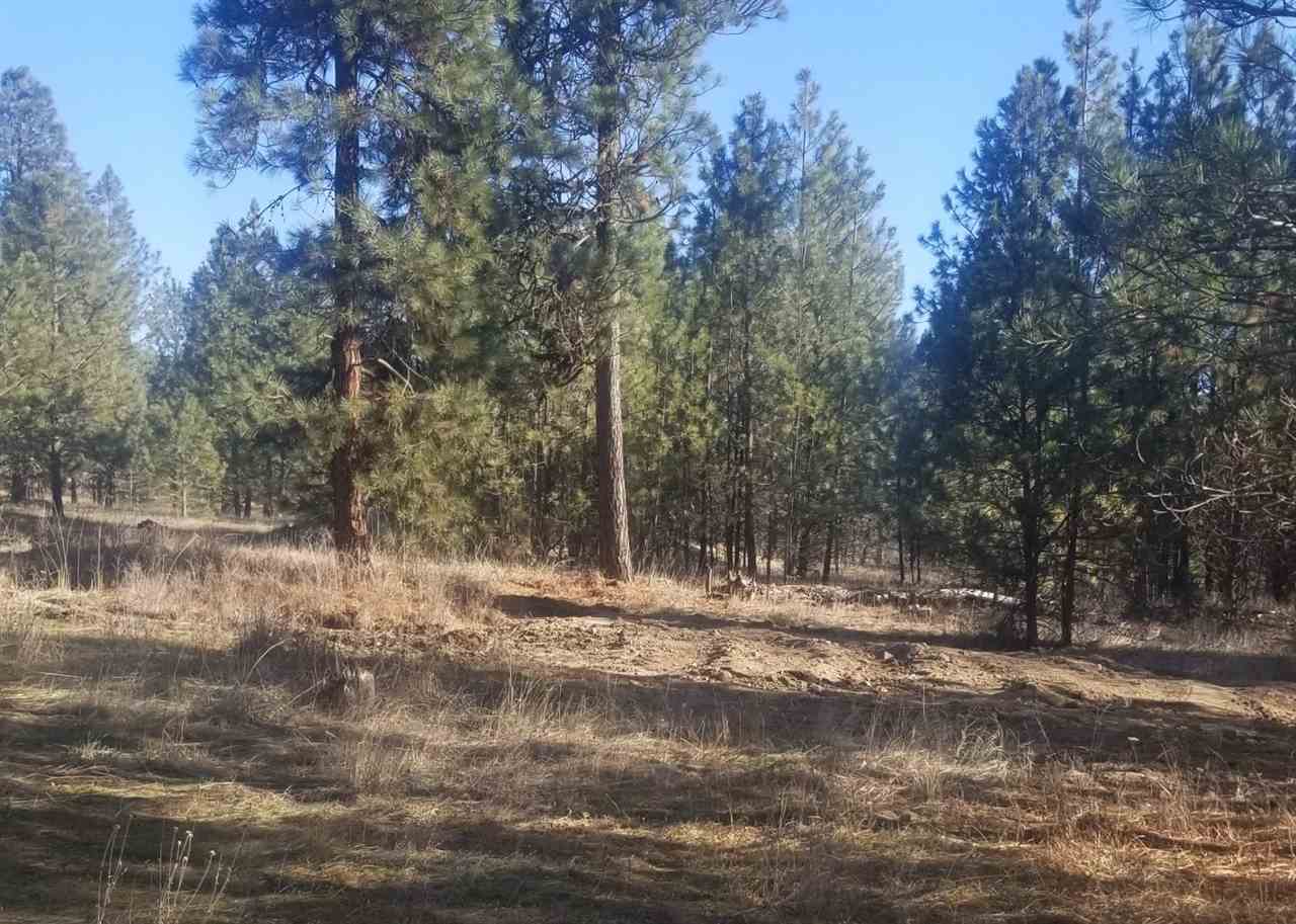 5428 Bishop Road Tumtum, WA 99034 - Photo 4 of 11 Gallery Image 4
