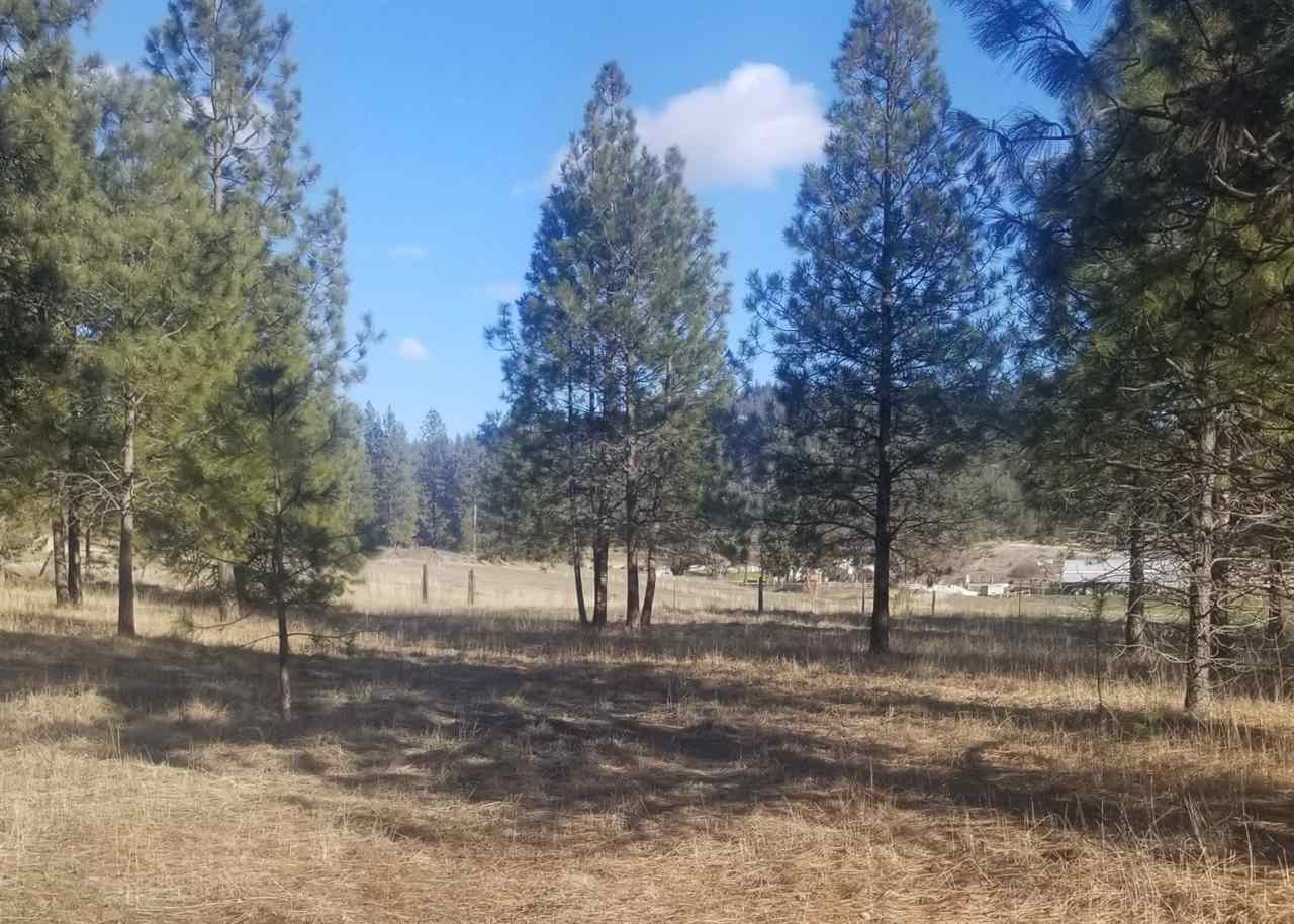 5428 Bishop Road Tumtum, WA 99034 - Photo 6 of 11 Gallery Image 6