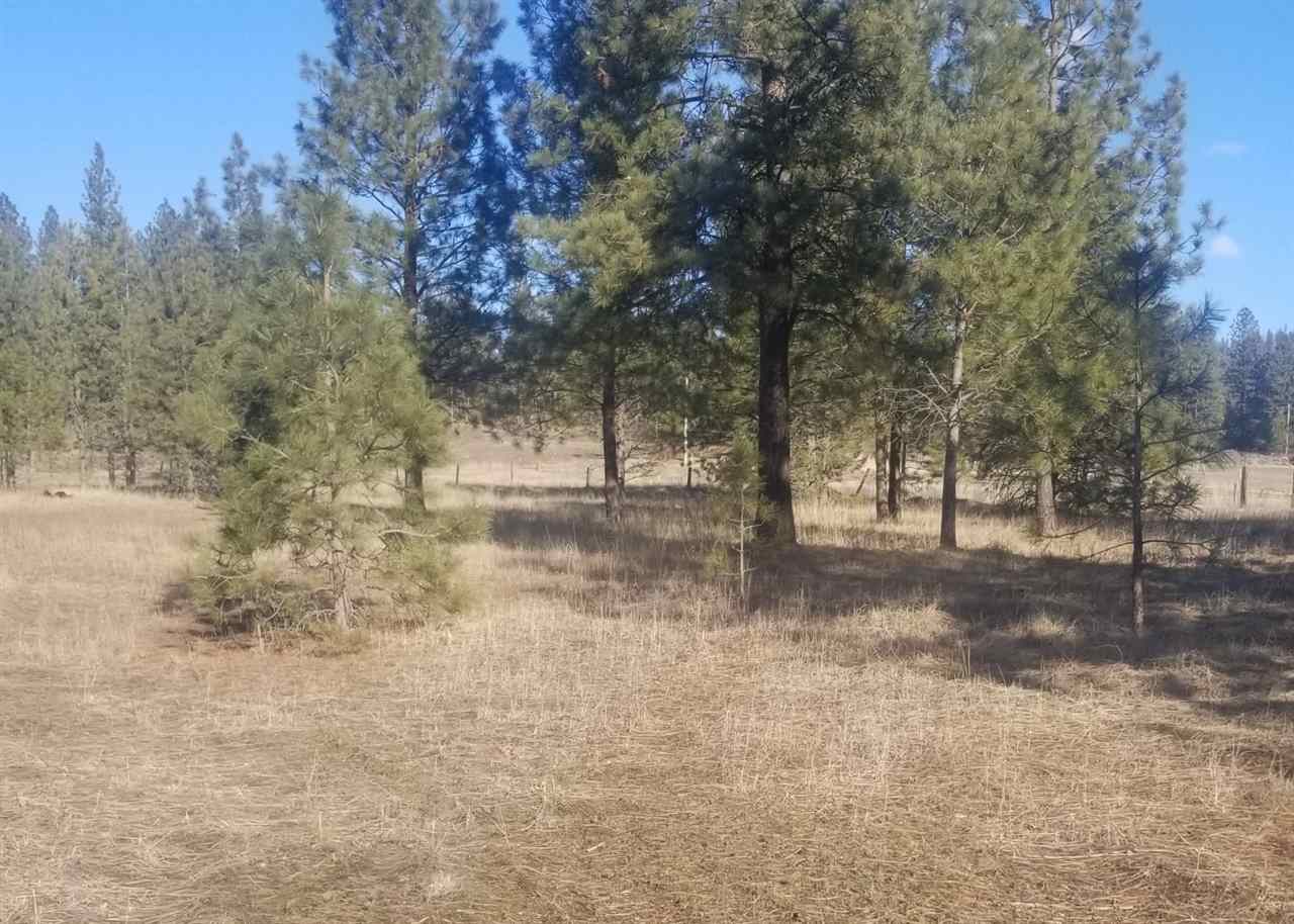 5428 Bishop Road Tumtum, WA 99034 - Photo 7 of 11 Gallery Image 7