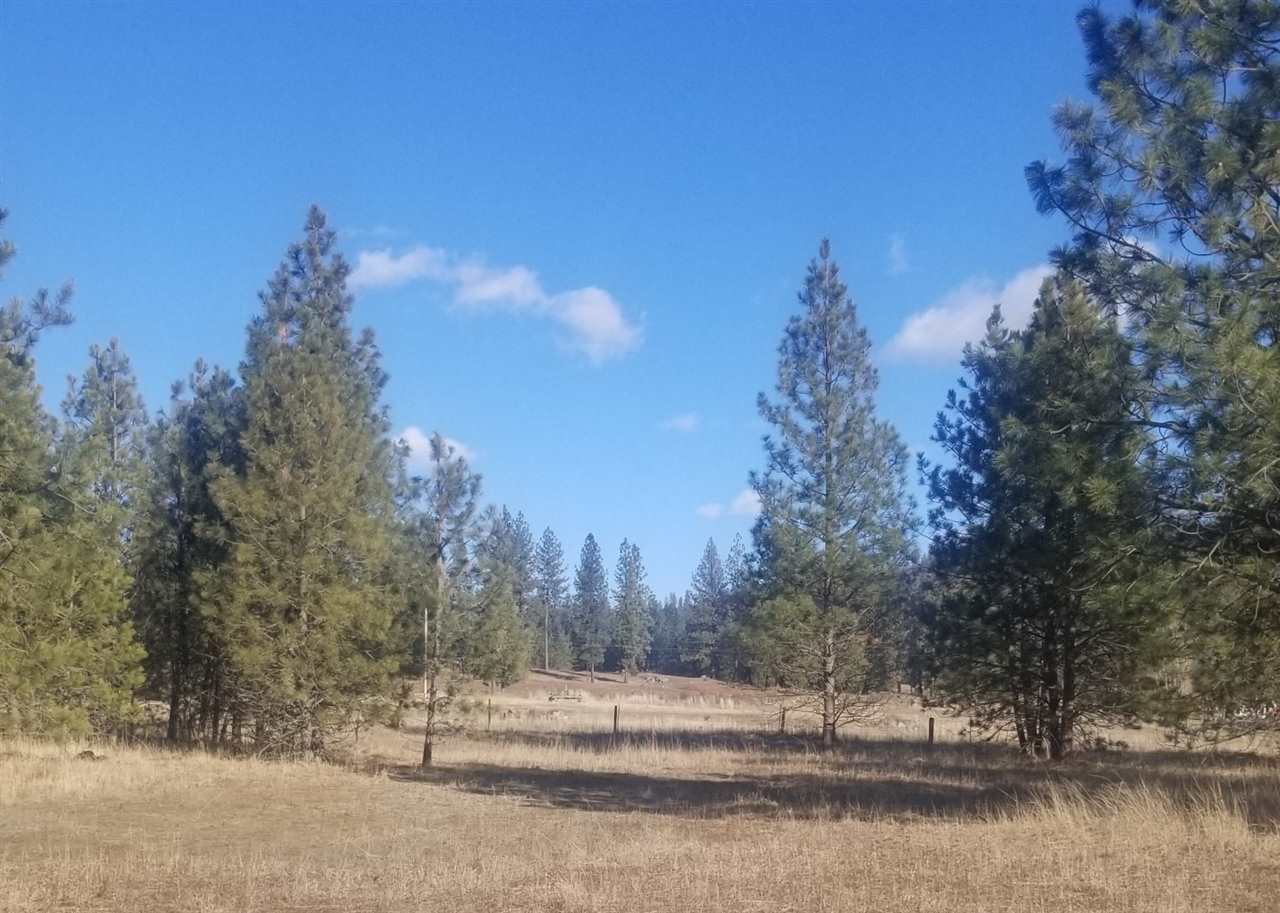 5428 Bishop Road Tumtum, WA 99034 - Photo 8 of 11 Gallery Image 8
