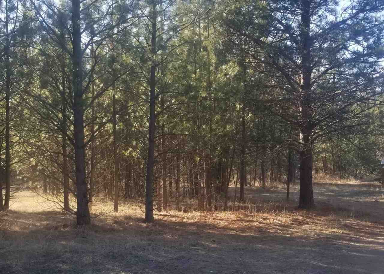 5428 Bishop Road Tumtum, WA 99034 - Photo 10 of 11 Gallery Image 10