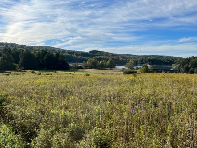 Lot 7 Lake Moraine Road Oneida, NY 13421 - Photo 2 of 4 Gallery Image 2