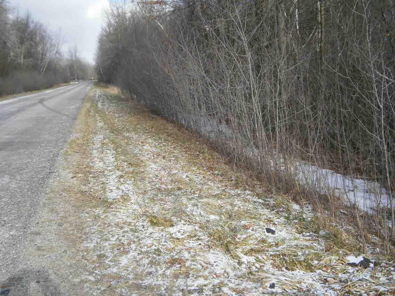 Pettit Road Birch Run, MI 48415 - Photo 10 of 10 31310371-9.JPG