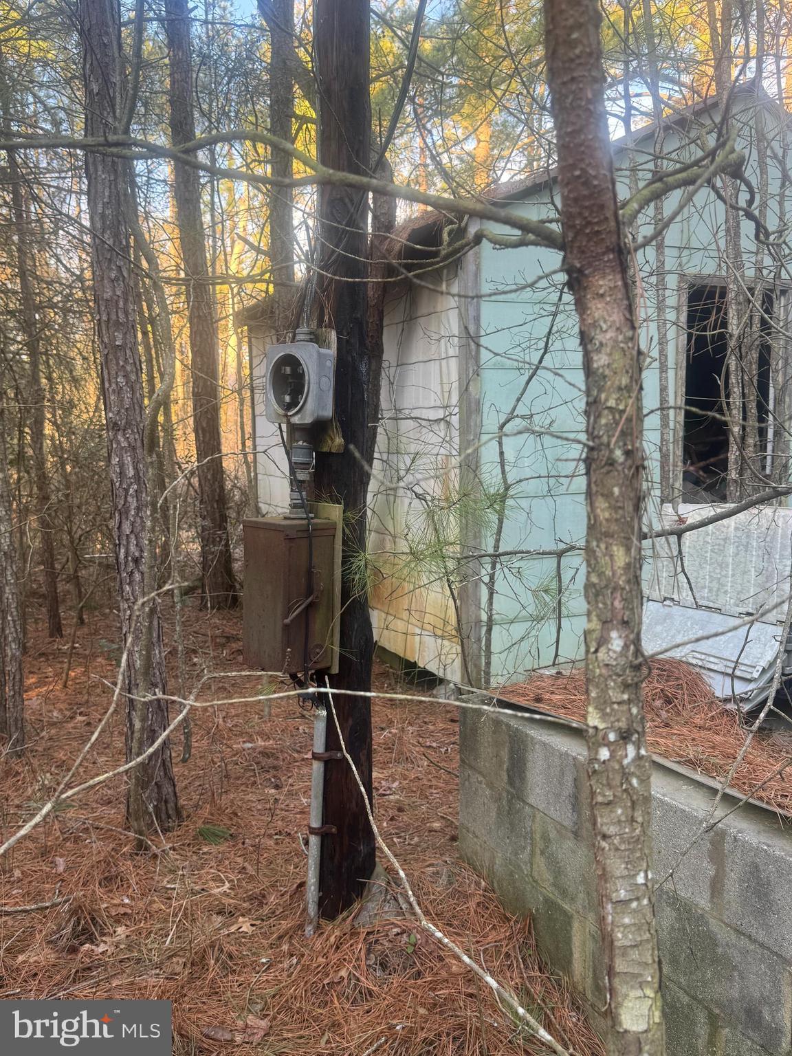 2525 Toddville Road Toddville, MD 21672 - Photo 11 of 16