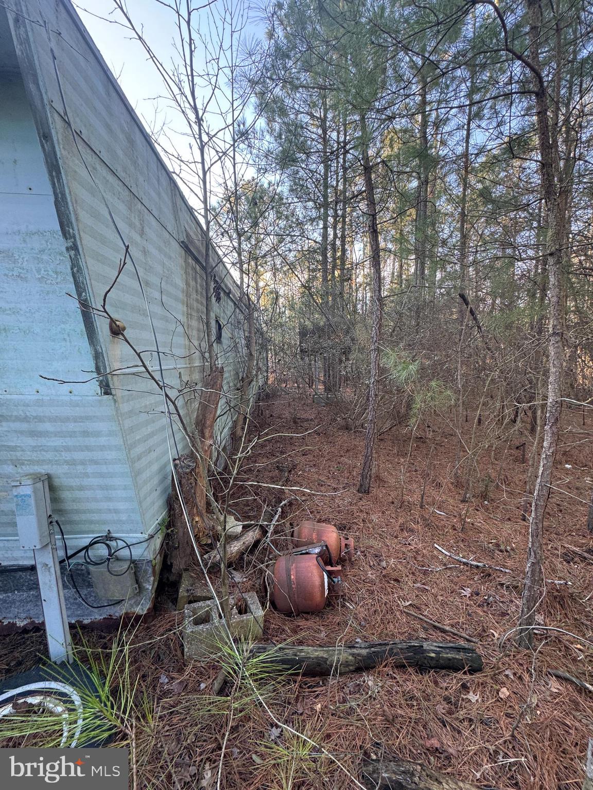 2525 Toddville Road Toddville, MD 21672 - Photo 12 of 16 a view of a backyard with table and chairs potted plants and large tree
