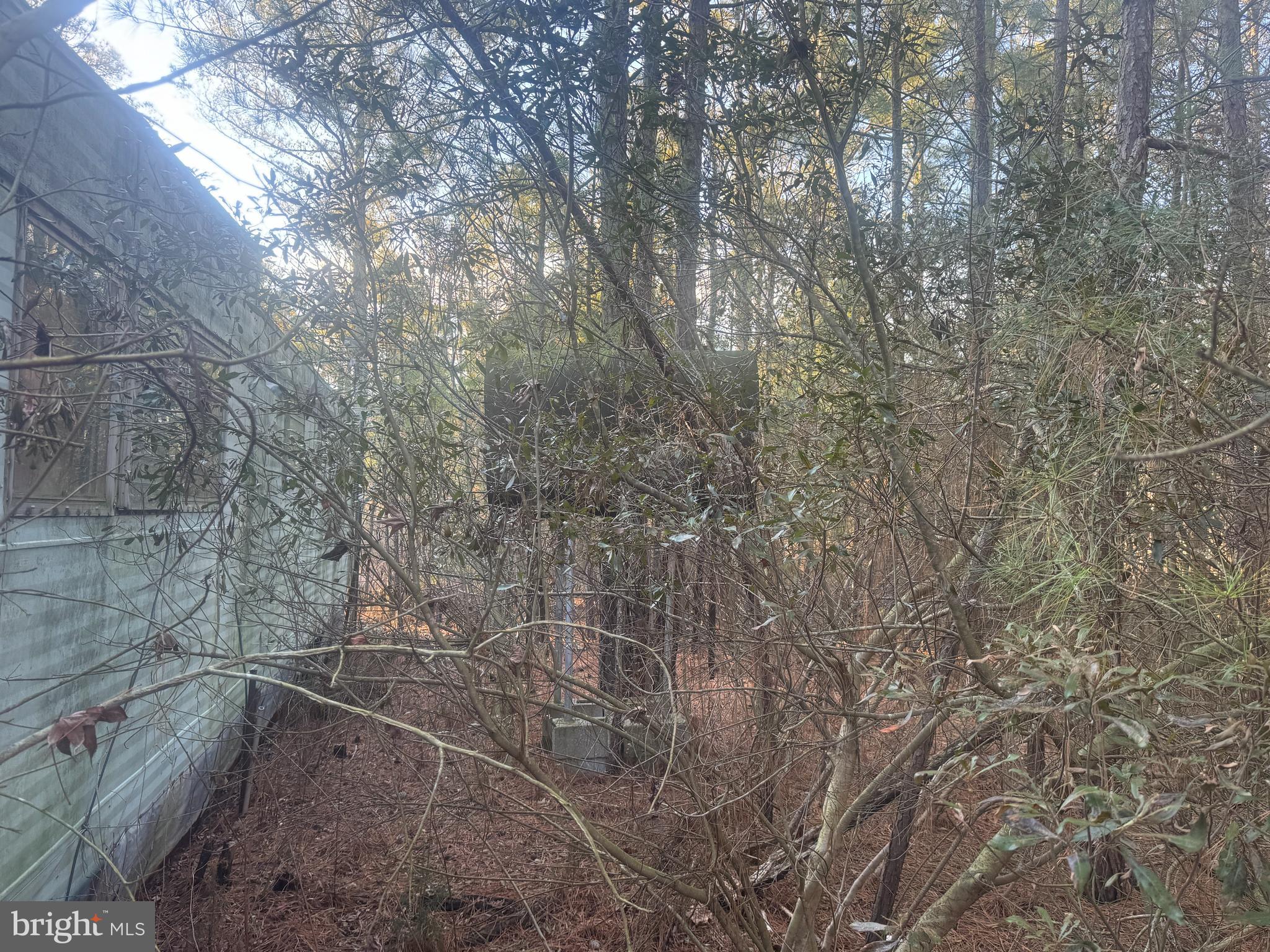 2525 Toddville Road Toddville, MD 21672 - Photo 14 of 16 a backyard of a house