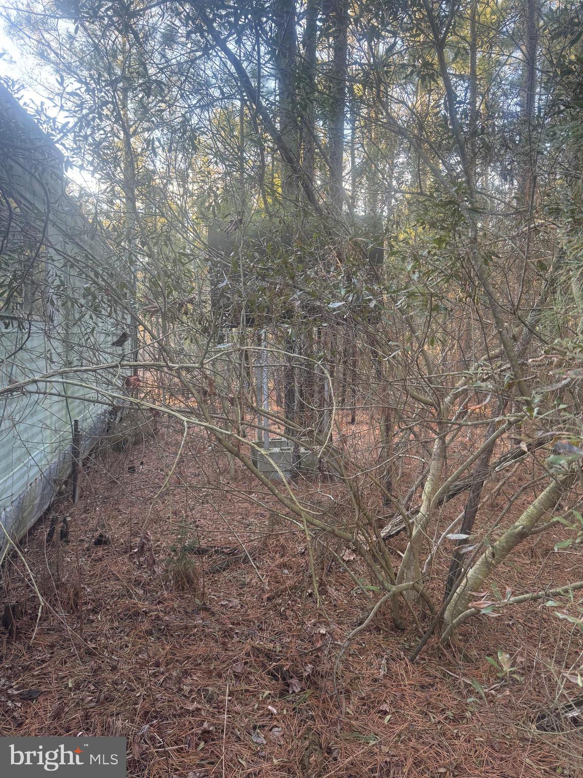 2525 Toddville Road Toddville, MD 21672 - Photo 15 of 16 a backyard of a house with lots of trees