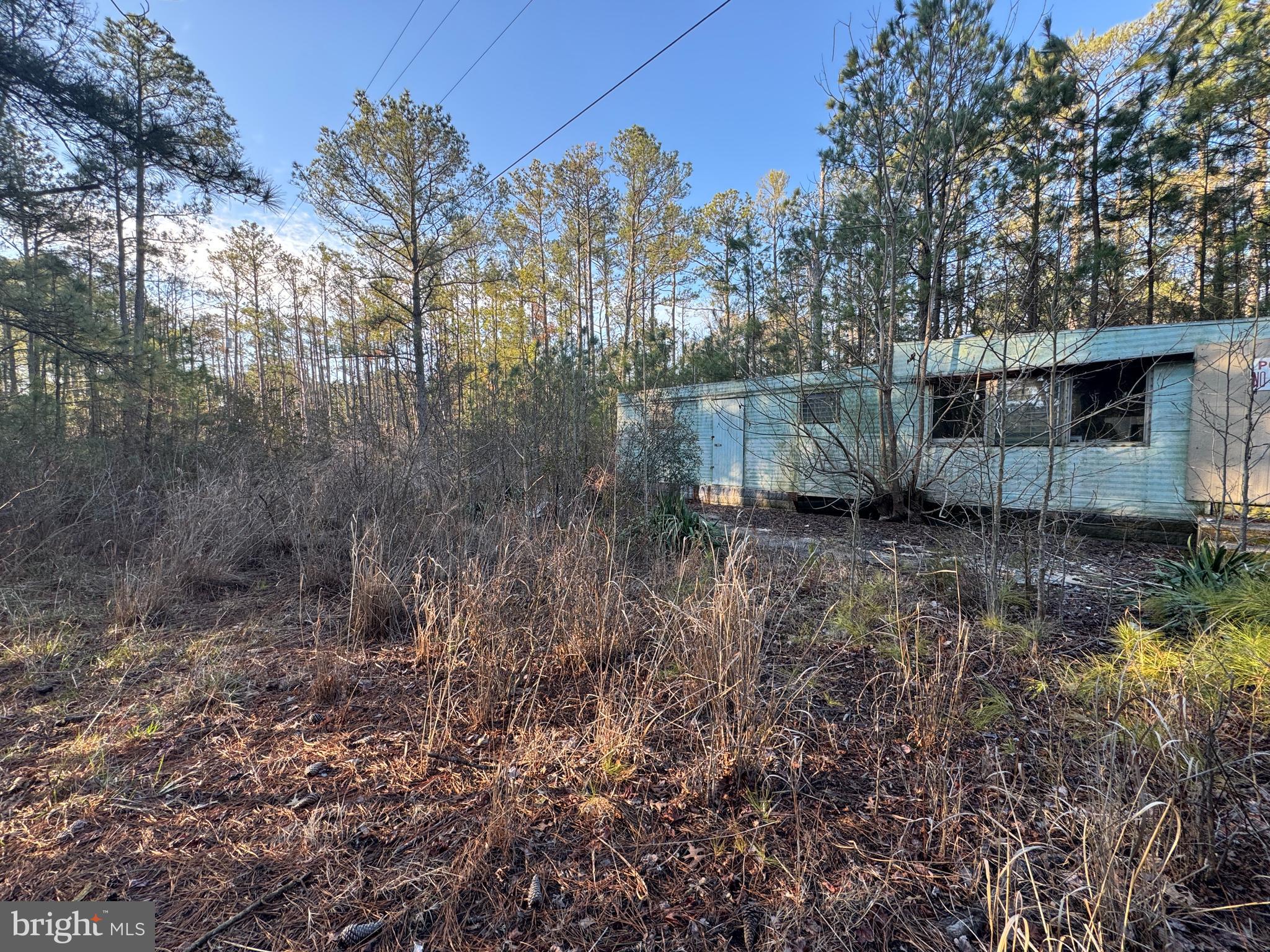 2525 Toddville Road Toddville, MD 21672 - Photo 3 of 16 a backyard of a house with lots of green space