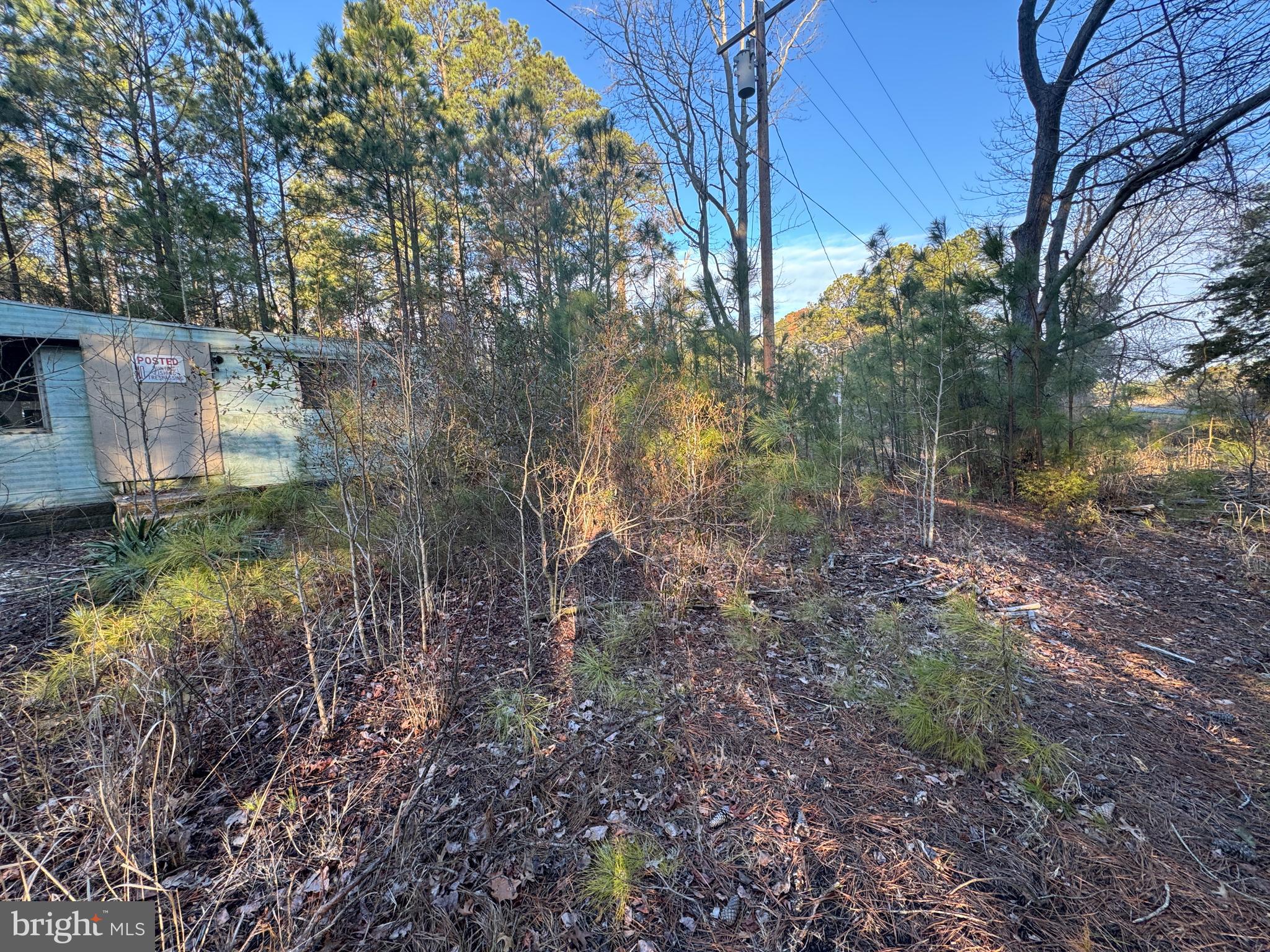 2525 Toddville Road Toddville, MD 21672 - Photo 4 of 16 a backyard of a house with lots of green space