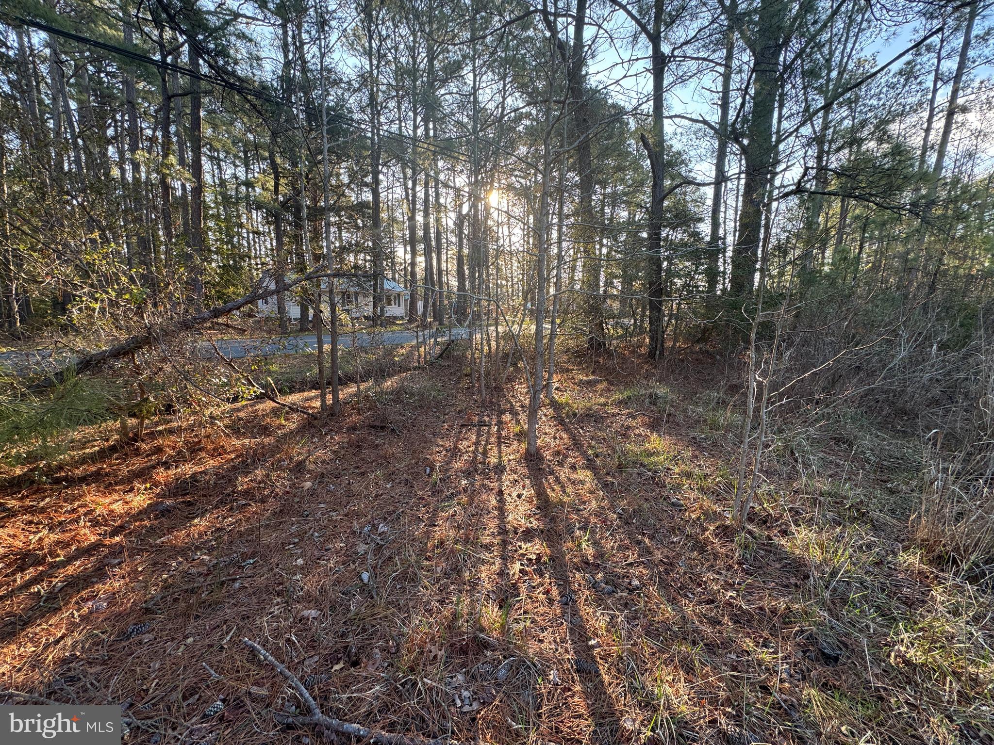 2525 Toddville Road Toddville, MD 21672 - Photo 5 of 16 a backyard of a house with lots of green space
