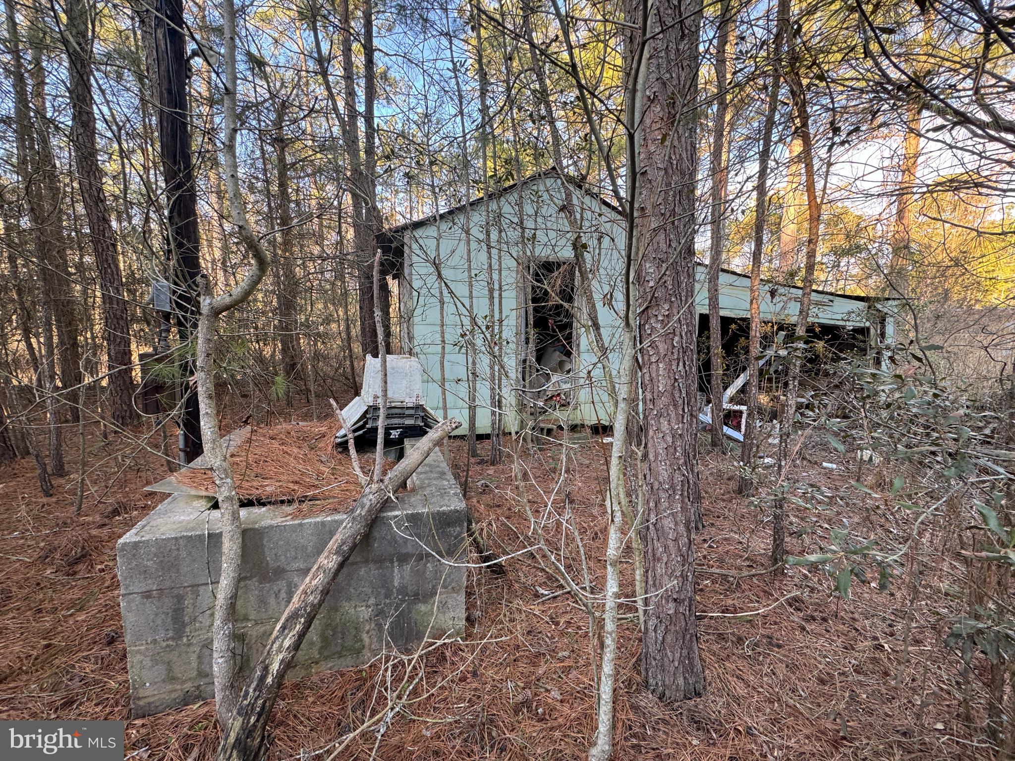 2525 Toddville Road Toddville, MD 21672 - Photo 10 of 16 a view of outdoor space yard and patio