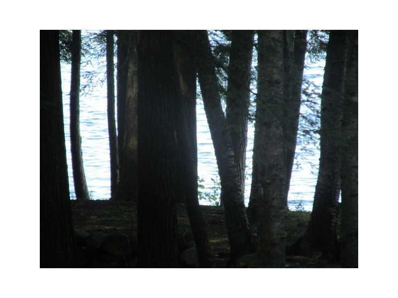0 Redcedar Lane Sidney, ME 04330 - Photo 1 of 2 Land.