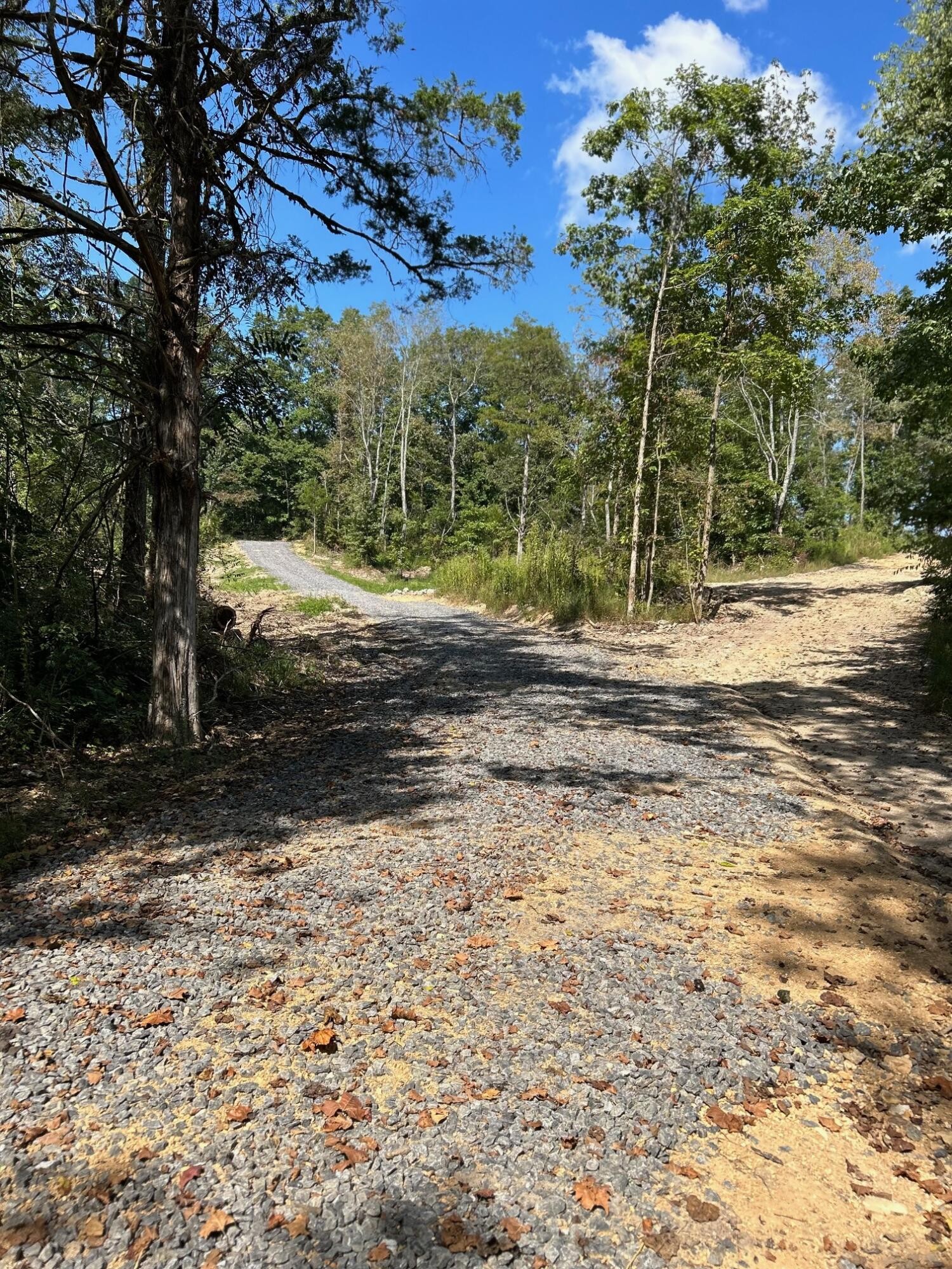 8 Euchee Road Ten Mile, TN 37880 - Photo 6 of 35