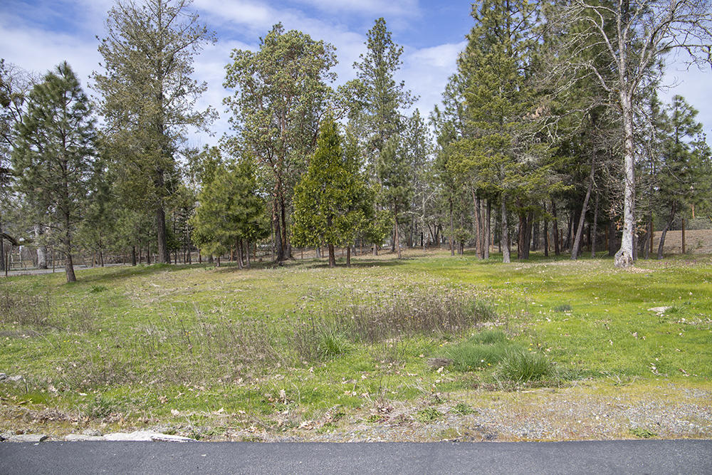 2085 Stringer Gap Road Grants Pass, OR 97527 - Photo 36 of 43 39