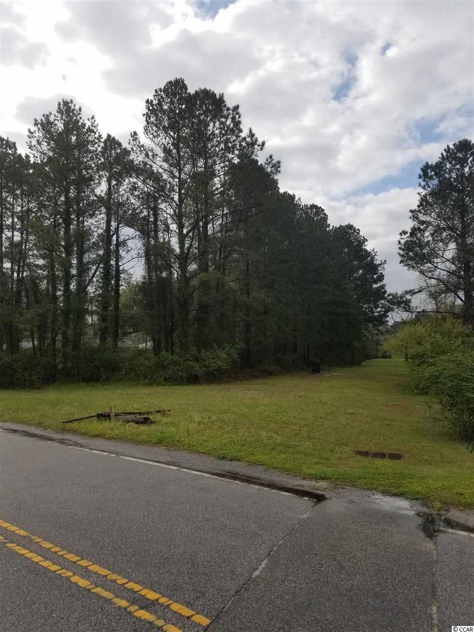 2231 Oak Street Conway, SC 29526 - Photo 7 of 8 Tortoise Drive View