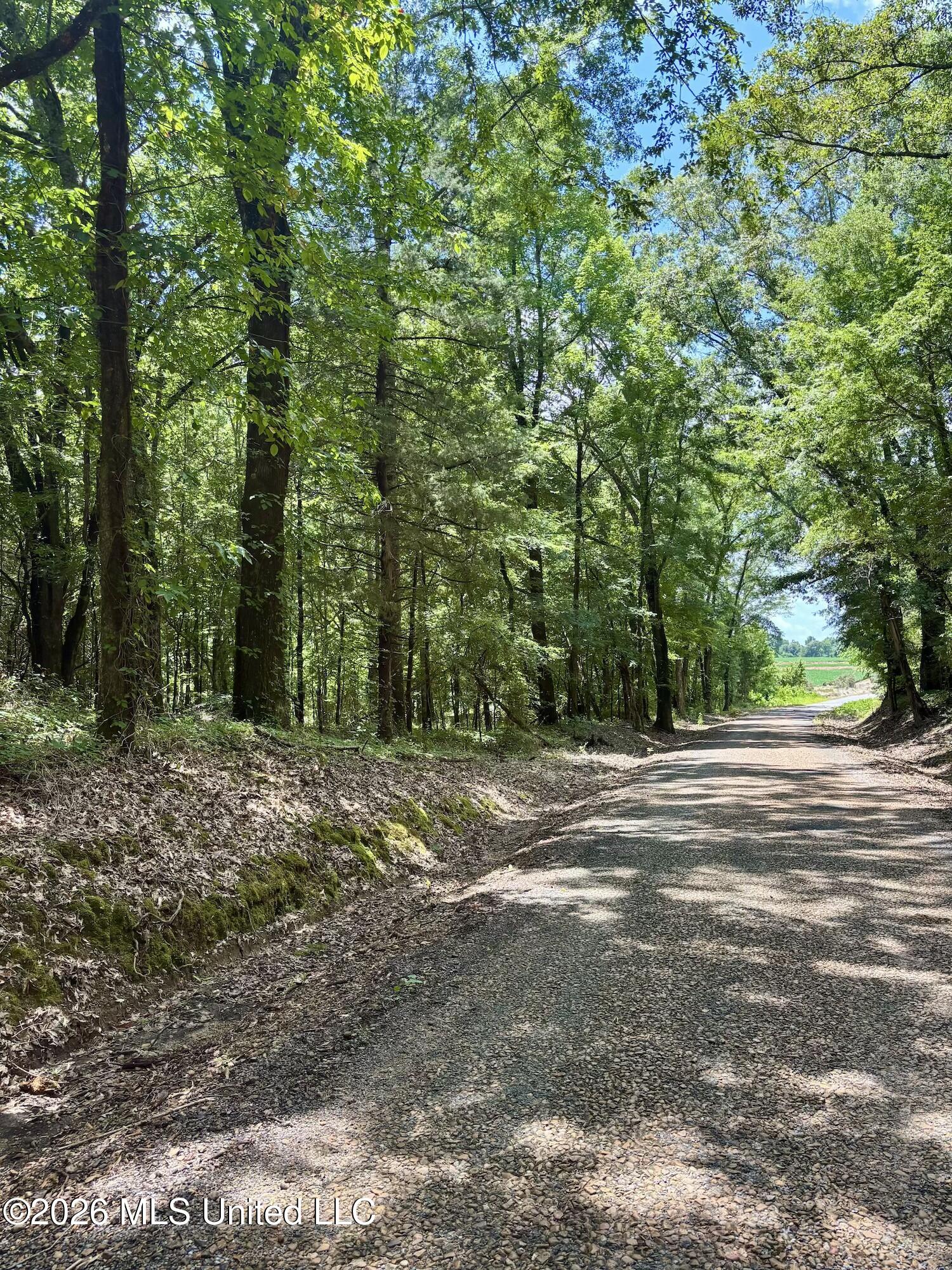11616 Wildwood Road Vaughan, MS 39179 - Photo 23 of 27 IMG_4968