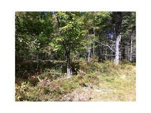 0 Blueberry Road Waterboro, ME 04087 - Photo 2 of 3 Photo