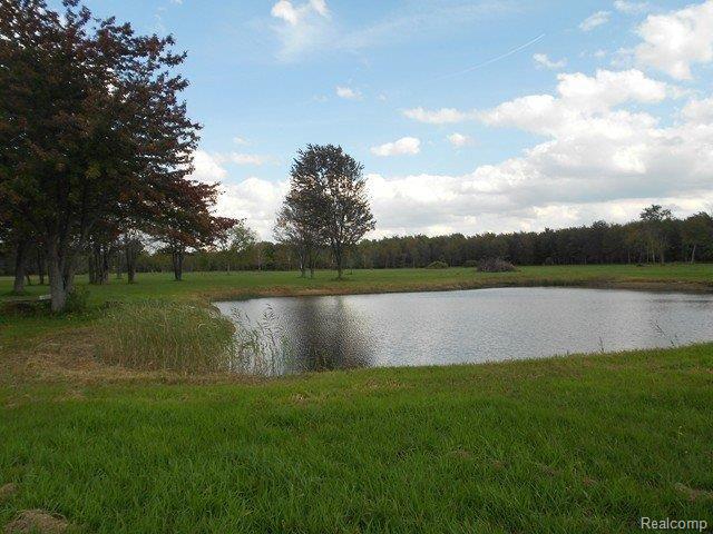 2500 Mitchell Lake Road Attica, MI 48412 - Photo 20 of 24 DSCN1185 (Copy).JPG