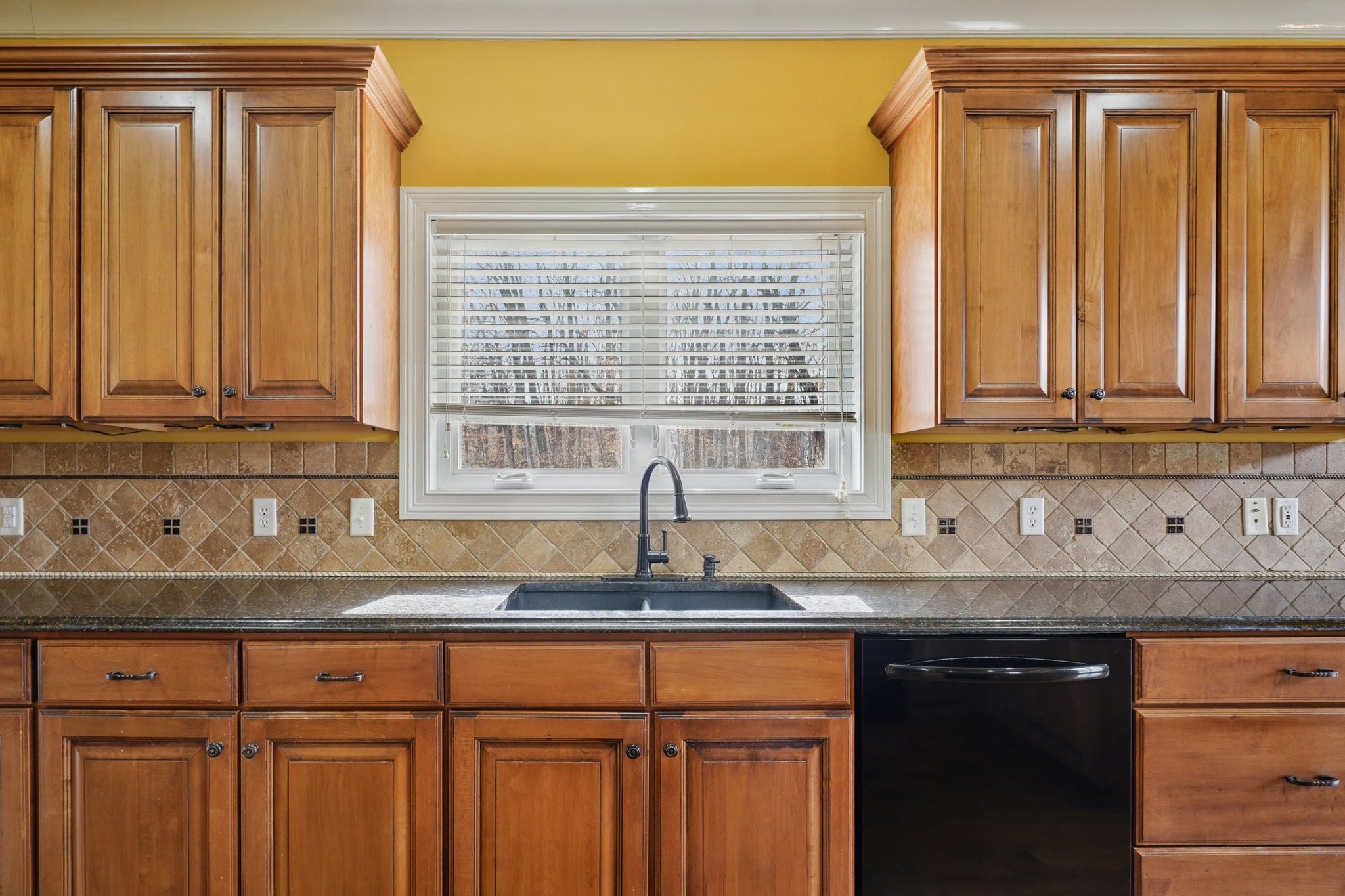 113 Timber Ridge Court Alvaton, KY 42122 - Photo 18 of 81 a kitchen with granite countertop cabinets sink and window