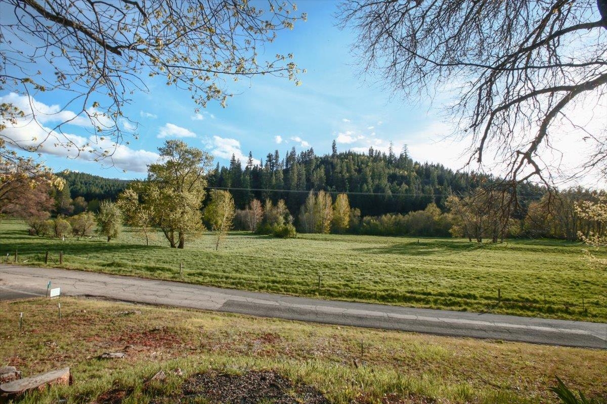 1168 Chandler Road Quincy, CA 95971 - Photo 23 of 39