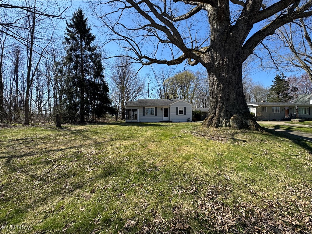 201 West Main Road Conneaut, OH 44030 - Photo 24 of 29 View of yard