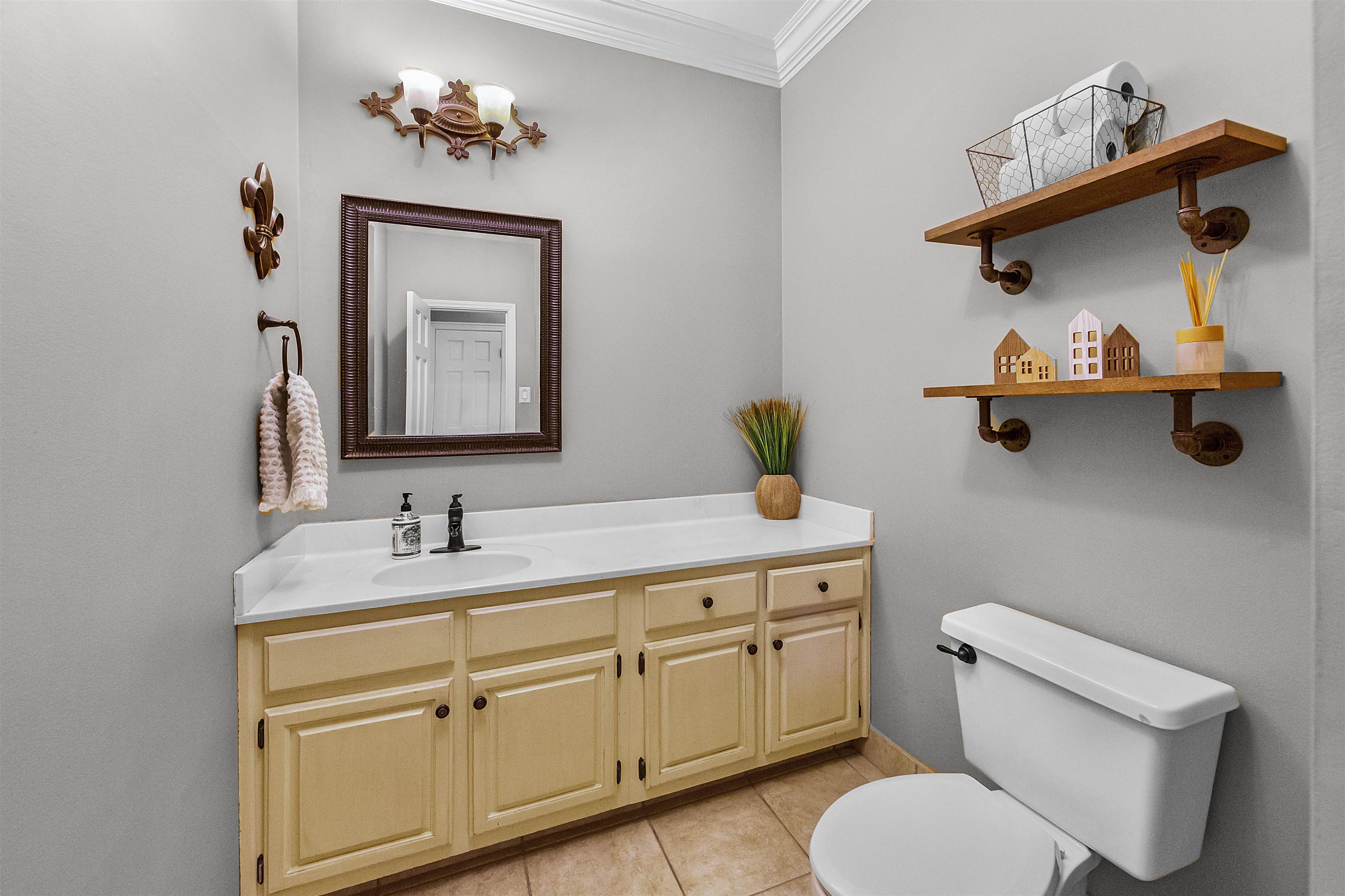 1213 Heather Ridge Cove Collierville, TN 38017 - Photo 6 of 25 a bathroom with a toilet a sink and mirror